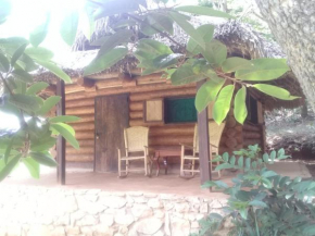 Room in Lodge - Sierraverde Huasteca Potosina Cabins Palo De Rosa